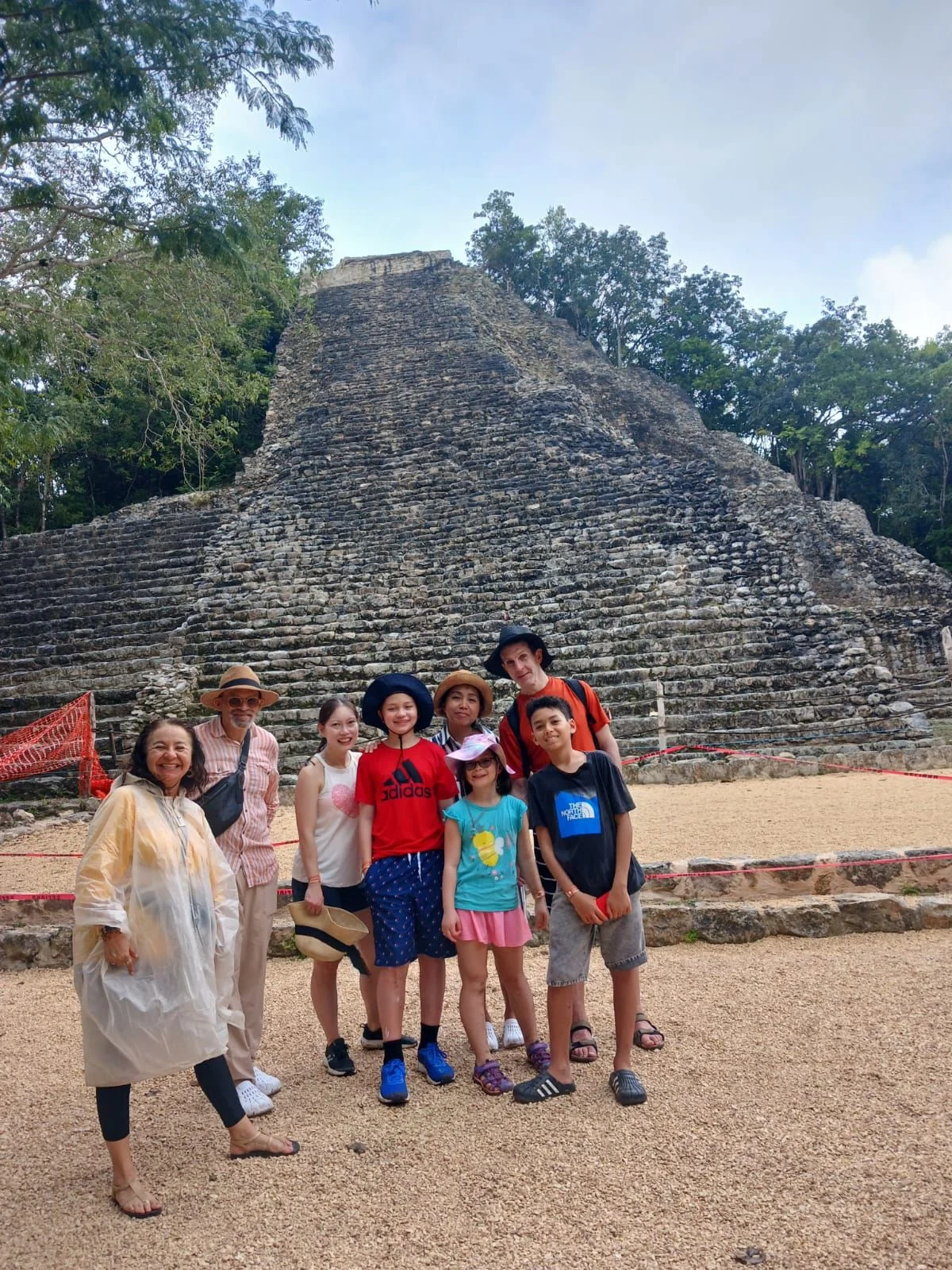 Van turística